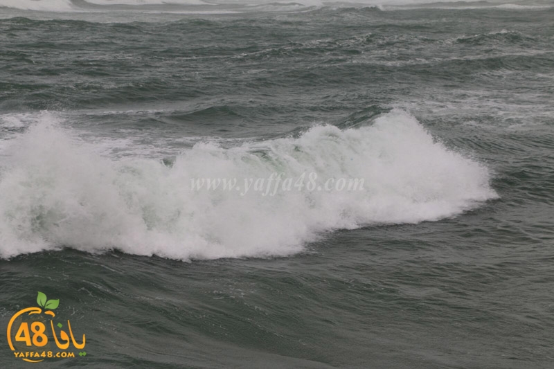 yaffa weahtera (3).jpg